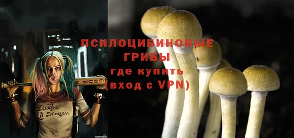 герыч Покровск