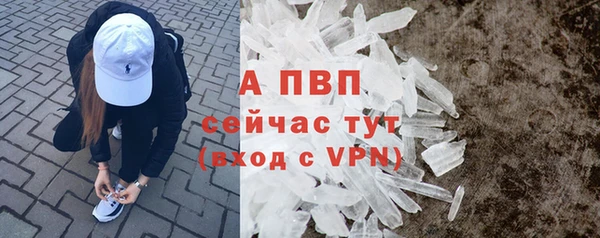 spice Аркадак