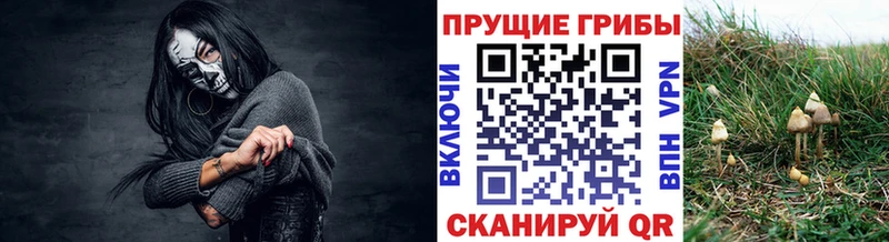 МЕГА зеркало  Змеиногорск  Псилоцибиновые грибы GOLDEN TEACHER 