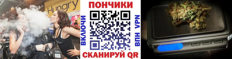Бошки марихуана Amnesia  мориарти наркотические препараты  Змеиногорск 